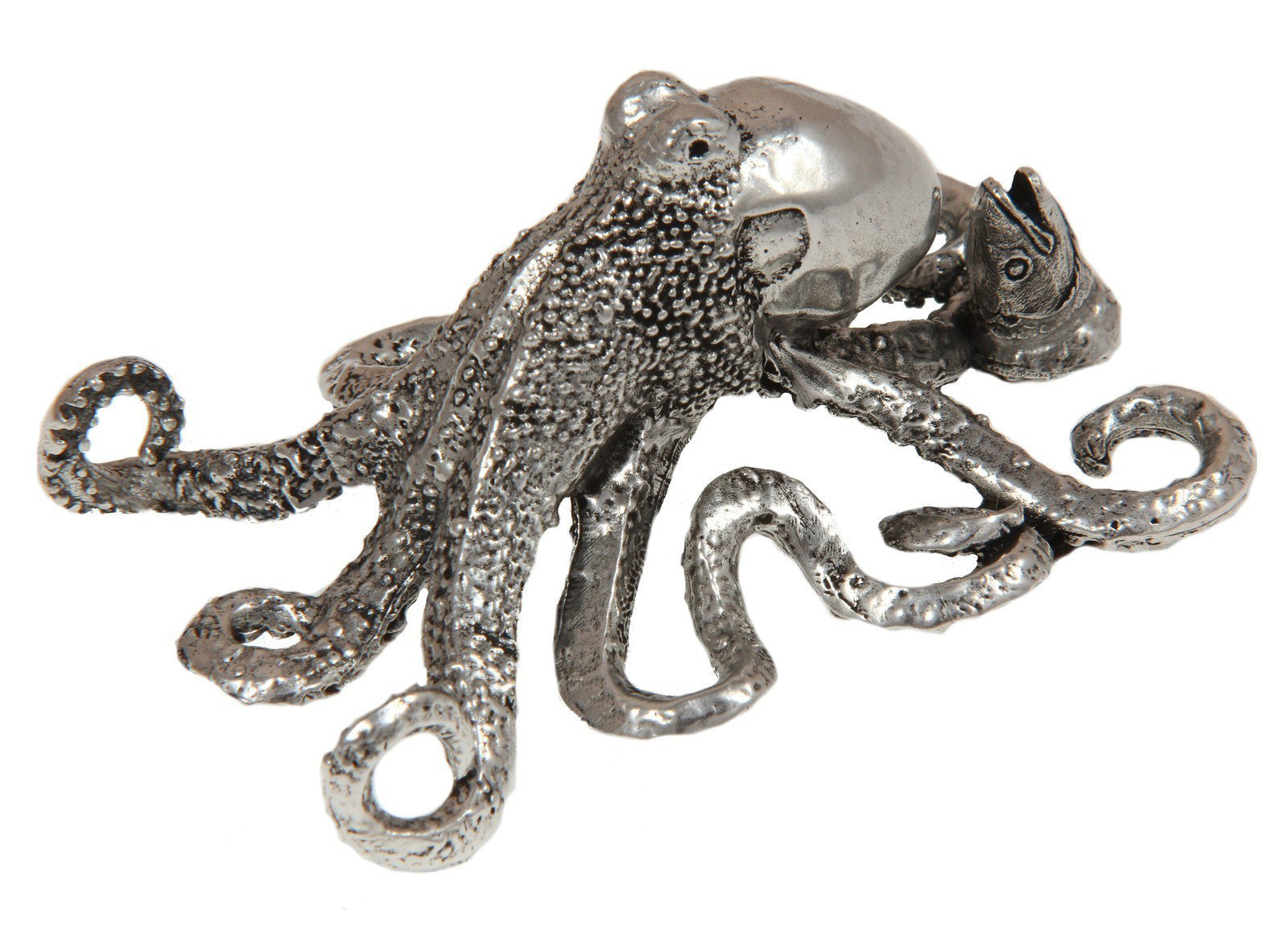OCTOPUS サーフボードアクセサリー Octopus – Jac Zagoory Designs